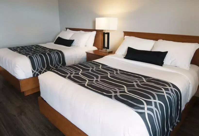 汽车旅馆  Le Voyageur