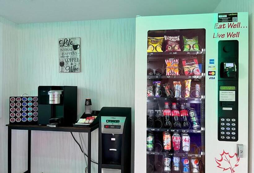 استراحتگاه The Tide S Inn