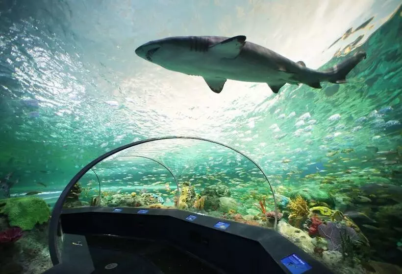 Kimpton Saint George Hotel, An Ihg