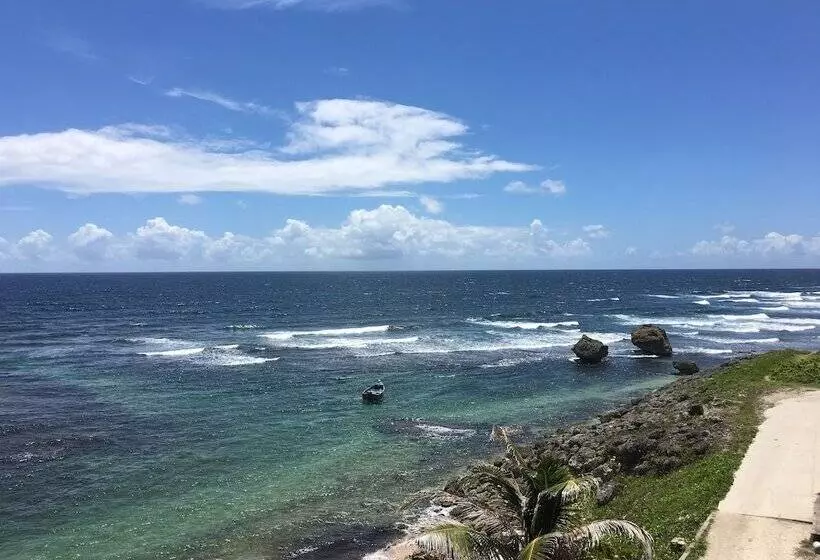 هتل The Atlantis Historic Inn