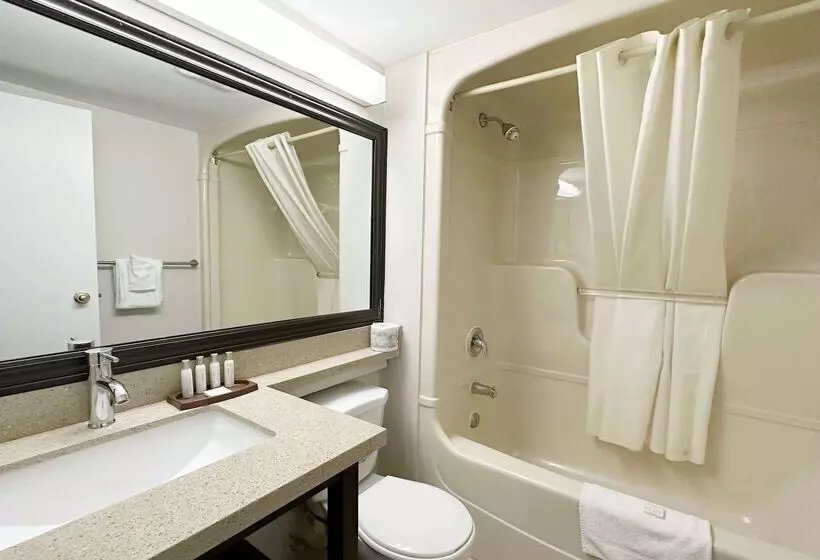 בית מלון כפרי Travelodge By Wyndham Welland