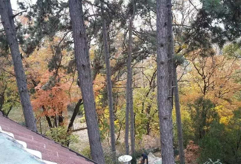 Hotelli Berg Toboz Panzió