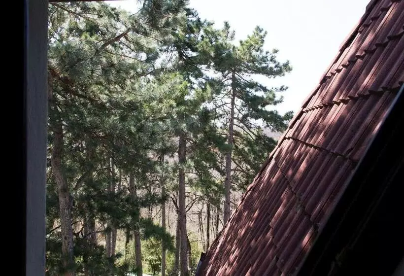 Hotelli Berg Toboz Panzió