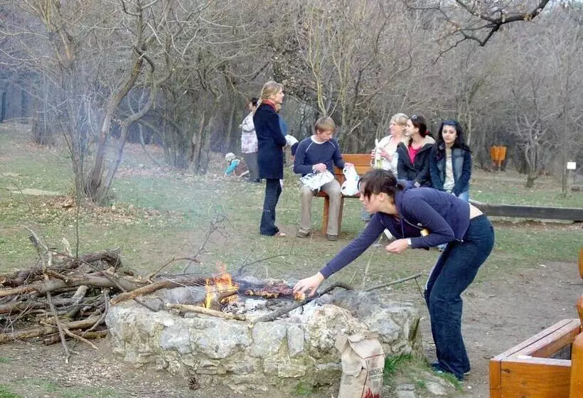 Hotelli Berg Toboz Panzió