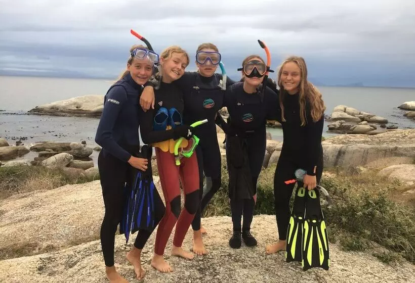 Boulders Beach Hotel, Cafe And Curio