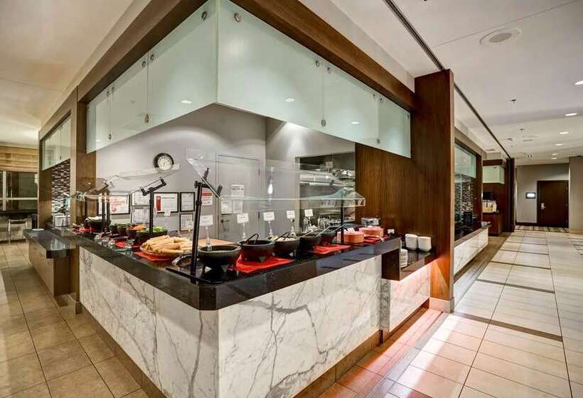 فندق Embassy Suites By Hilton Chicago Downtown River North