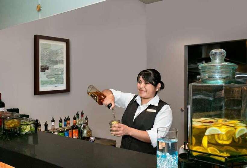 فندق Embassy Suites By Hilton Chicago Downtown River North