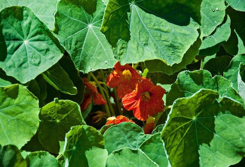 ホテル The First Colony Inn