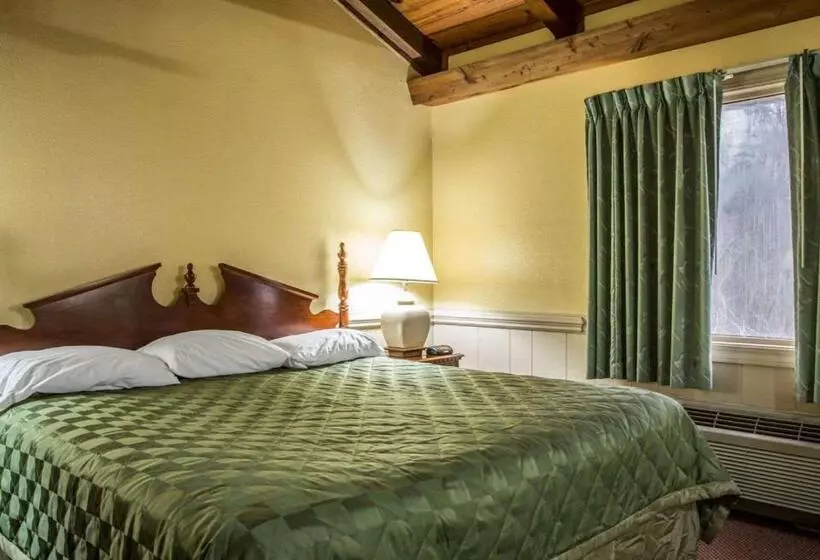 ホテル Rodeway Inn & Suites Plymouth Hwy 64