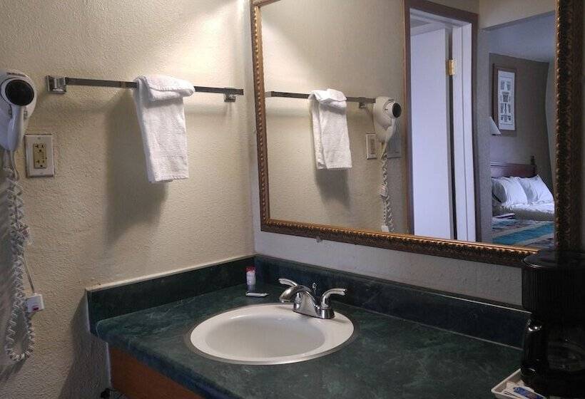 Отель American Regency Inn