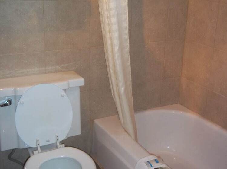 Отель American Regency Inn