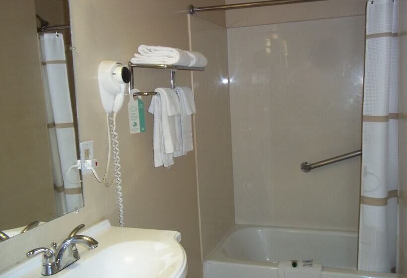 Отель American Regency Inn