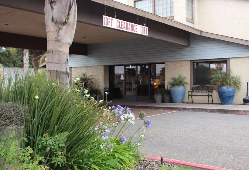 酒店 O'cairns Inn And Suites