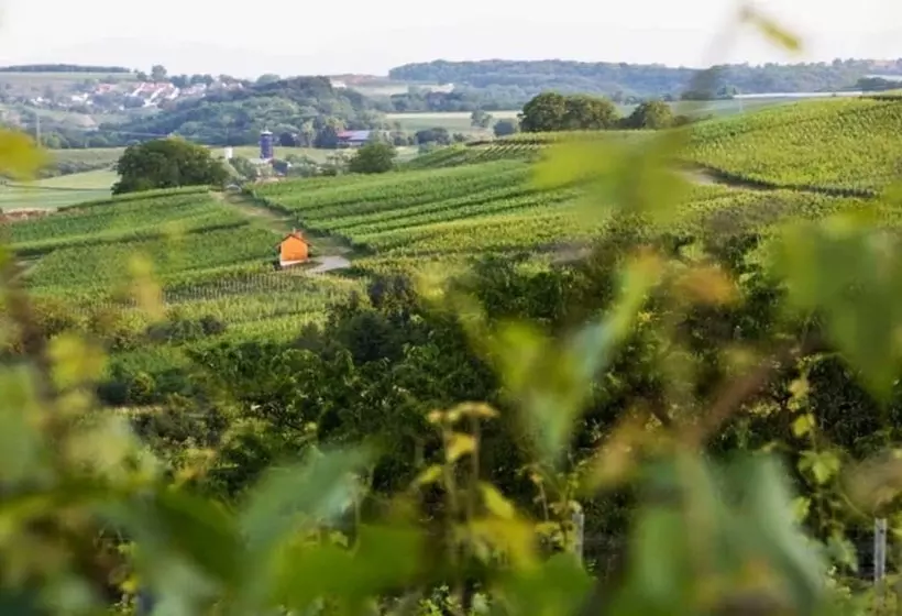 Hotel & Restaurant Tanne