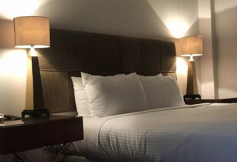 酒店 The Clan Terrigal