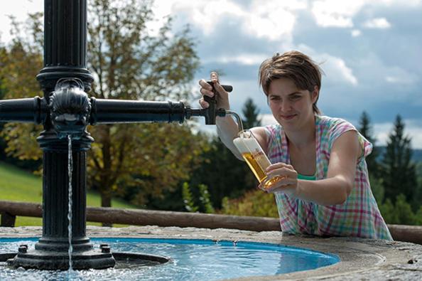 Hotel Schwarz Alm Zwettl