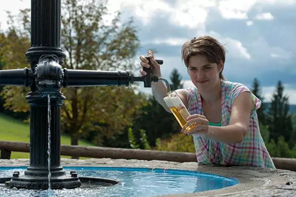 Hotel Schwarz Alm Zwettl