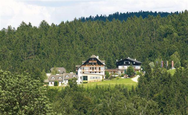 Hotel Schwarz Alm Zwettl