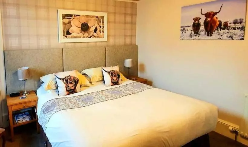 Отель Moyness House