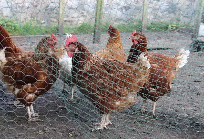 Отель Moyness House