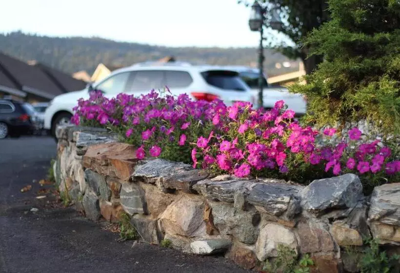 בית מלון כפרי Best Budget Inn & Suites Kamloops