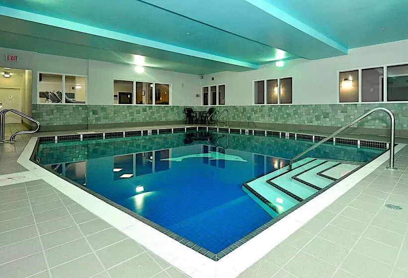 酒店 Hampton Inn & Suites By Hilton Calgary Airport