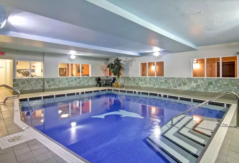 酒店 Hampton Inn & Suites By Hilton Calgary Airport