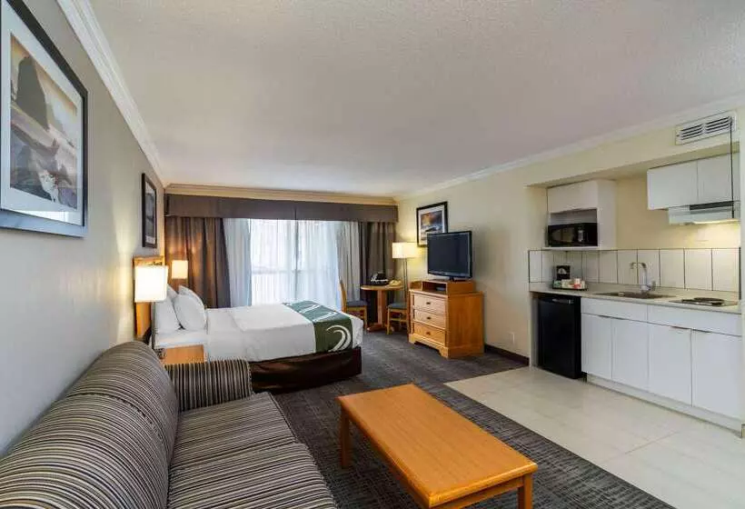 Отель Quality Inn Downtown Inner Harbour