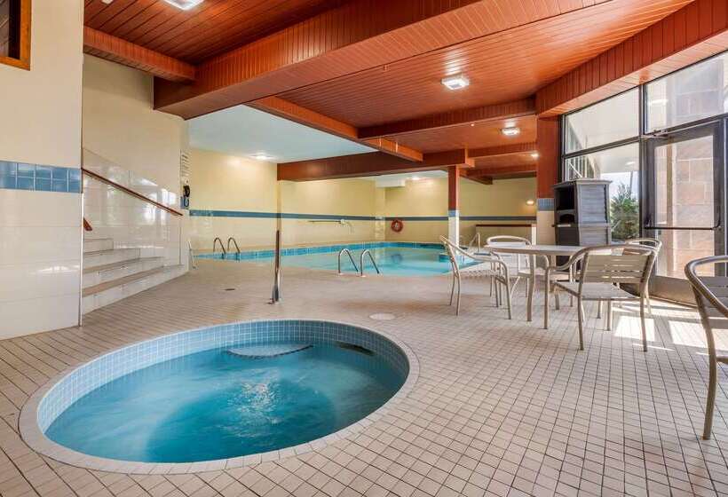 酒店 Quality Inn & Suites