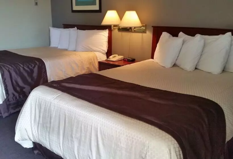 Отель Broadway Lodge