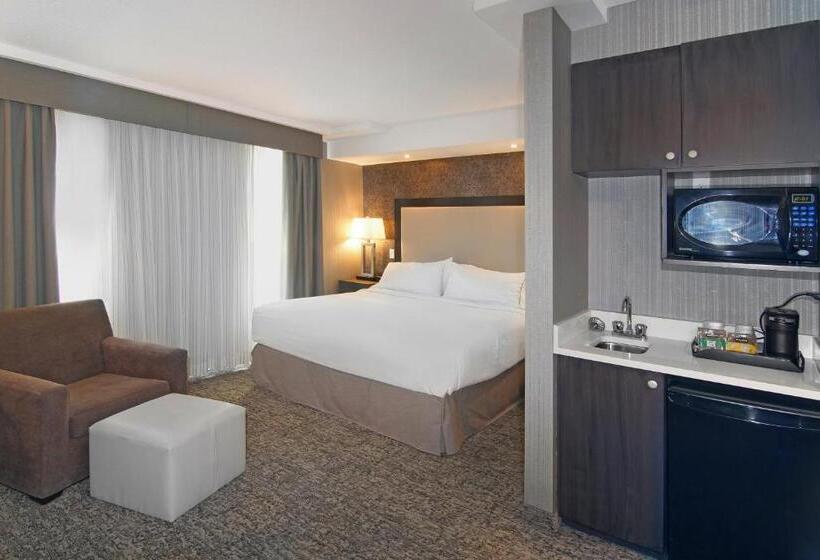 هتل Holiday Inn Express And Suites Calgary, An Ihg