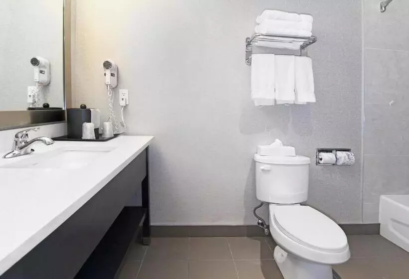 Hotel Holiday Inn Express And Suites Calgary, An Ihg