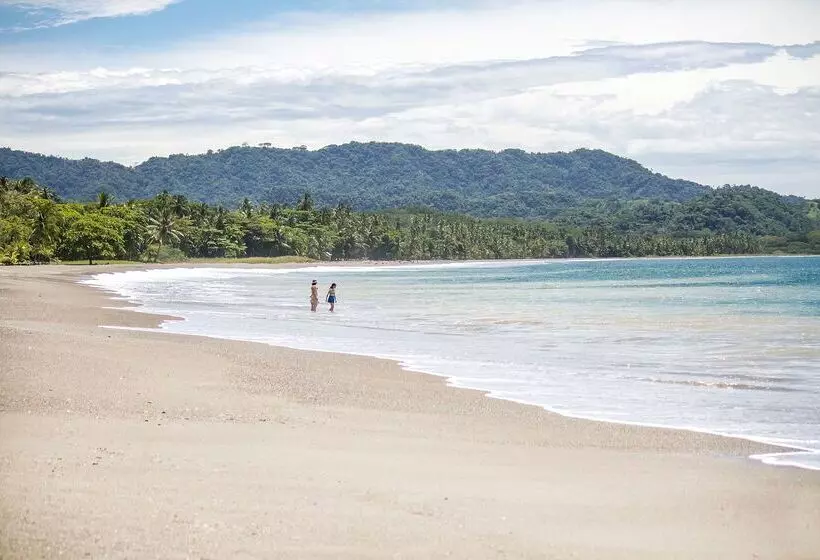 هتل Barcelo Tambor  All Inclusive