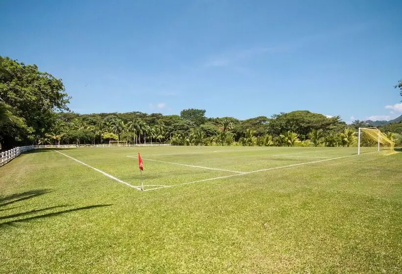 هتل Barcelo Tambor  All Inclusive