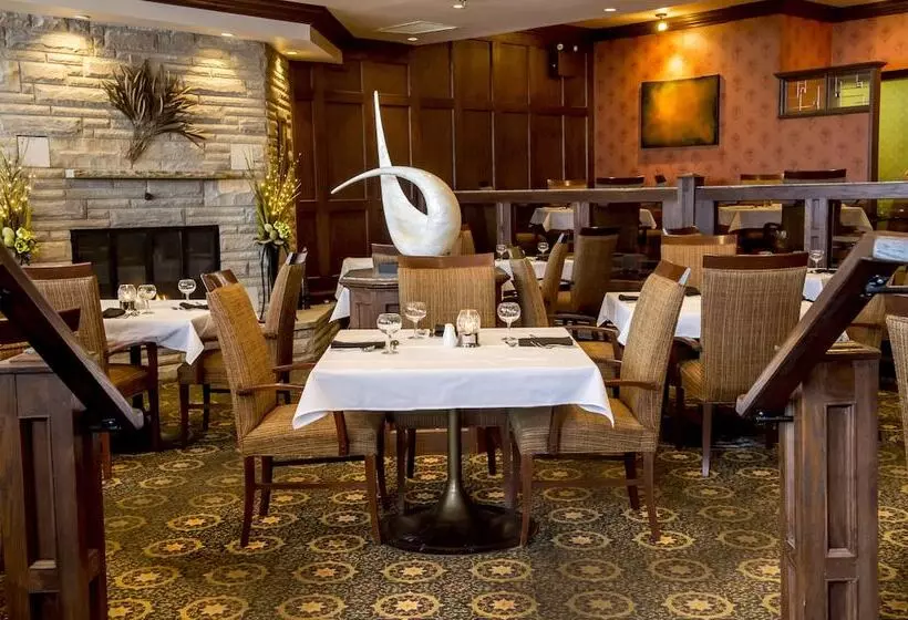 Sinbads Hotel & Suites