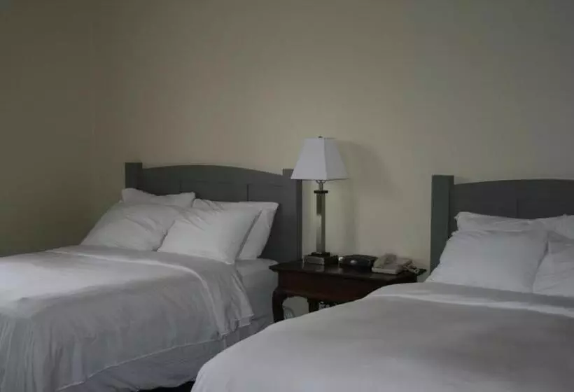 호텔 Windermere House