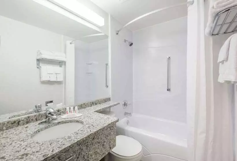 汽车旅馆 Super 8 By Wyndham Port Elgin