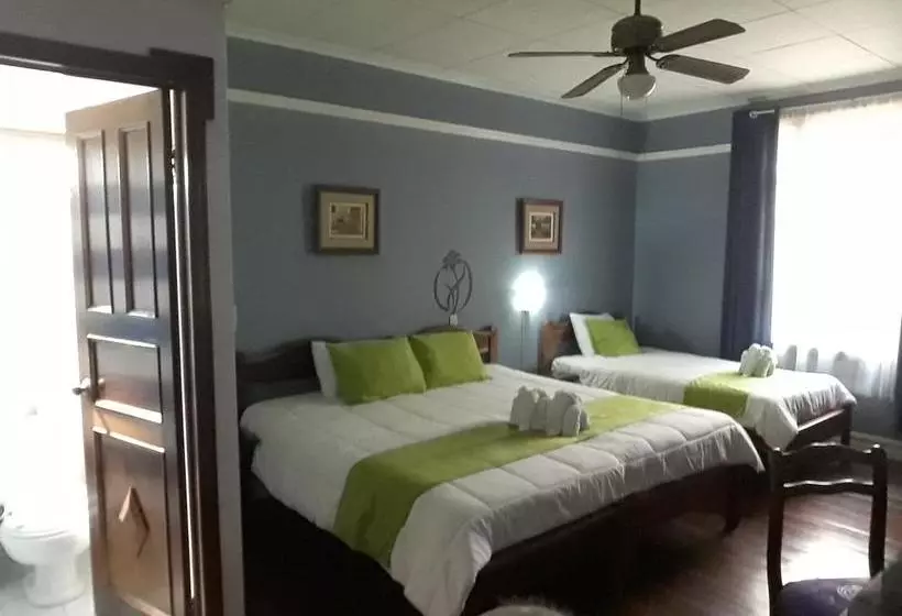 호텔 La Rosa Del Paseo