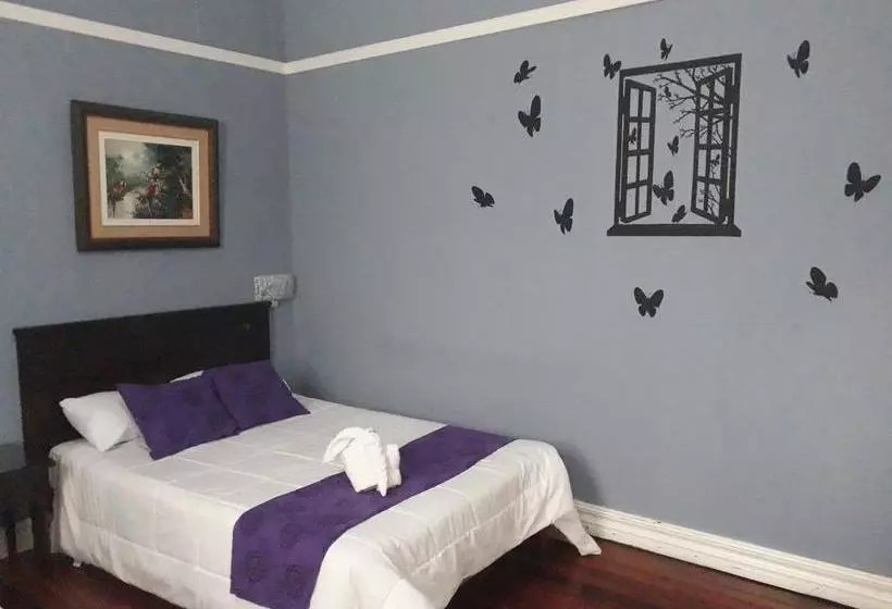 호텔 La Rosa Del Paseo