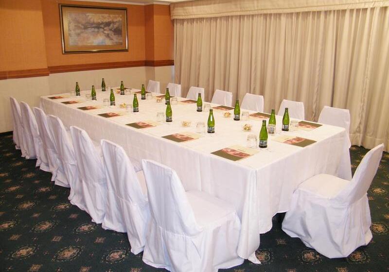 Otel Torremayor Lyon