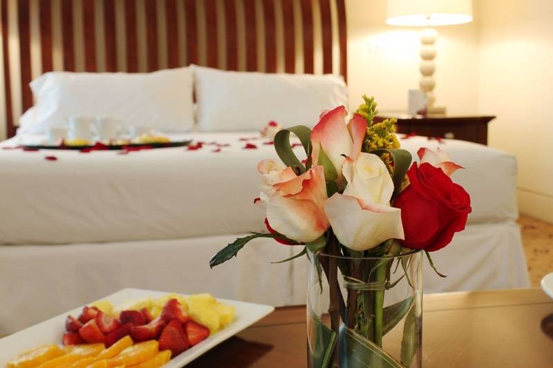 Otel Torremayor Lyon