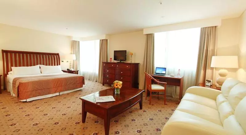 酒店 Torremayor Lyon