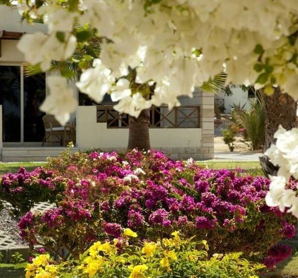 هتل Hurghada Coral Beach