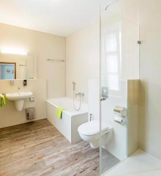 בית מלון כפרי Altstadt