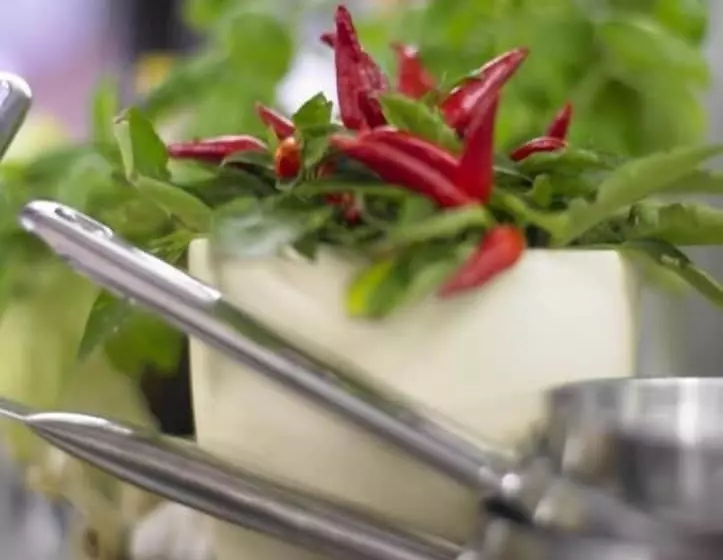 Adler Hotel & Restaurant Groß Gerau