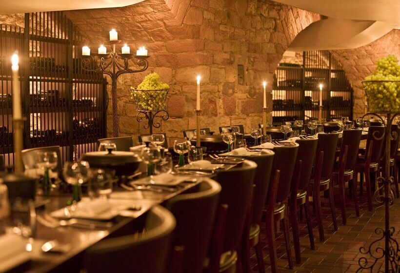 فندق Hyatt Regency Mainz