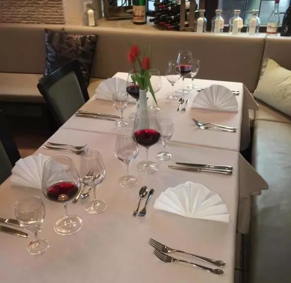 Отель Restaurant Schwan