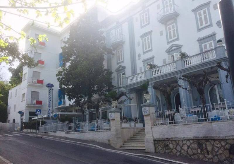 Hotel Alexander Palme