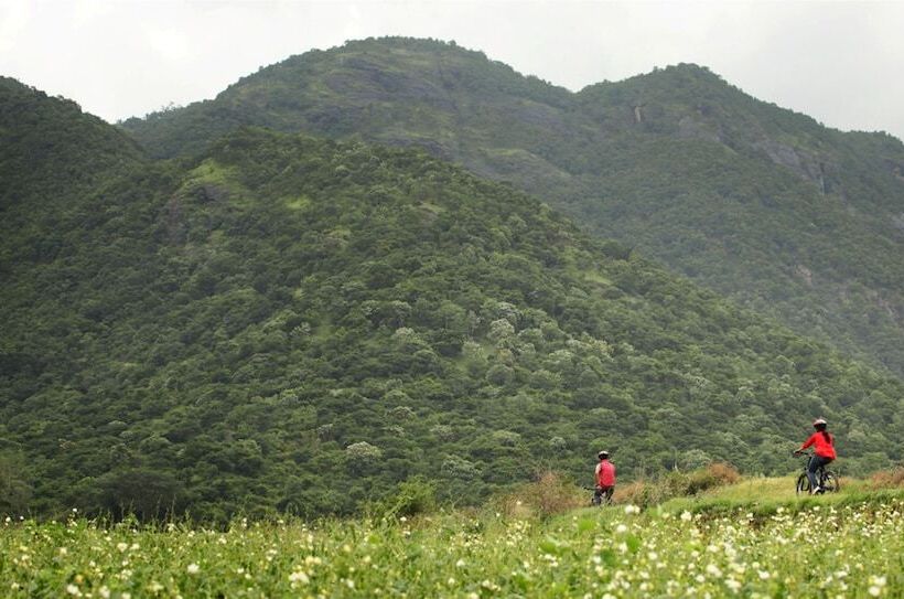 בית מלון כפרי Harvest Fresh Farms