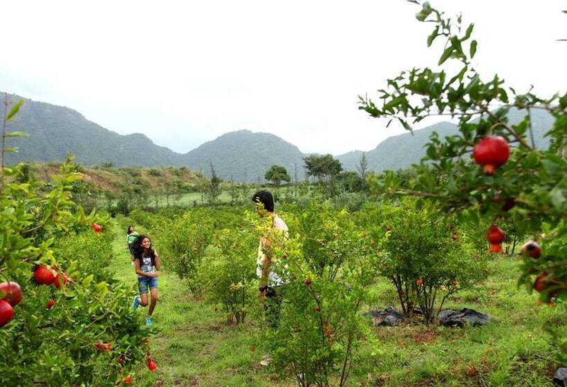 בית מלון כפרי Harvest Fresh Farms